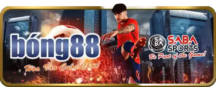 Cá cược bóng đá tại mv66 m